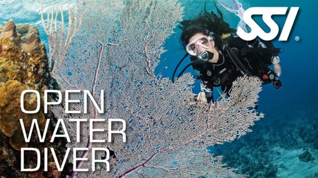 bali cours open water diver