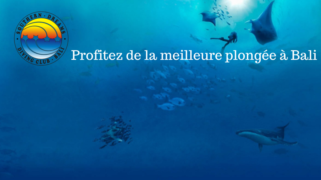 Southern-Dreams-Diving-Club-Bali